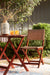 Safari Peak Chairs w/Table Set (3/CN) Homeline Furniture